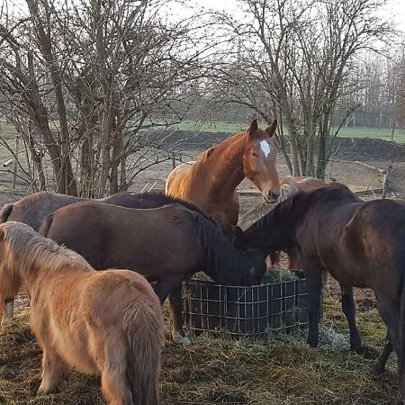 Muehlenberger Ponyhof Duisburg Exterior foto
